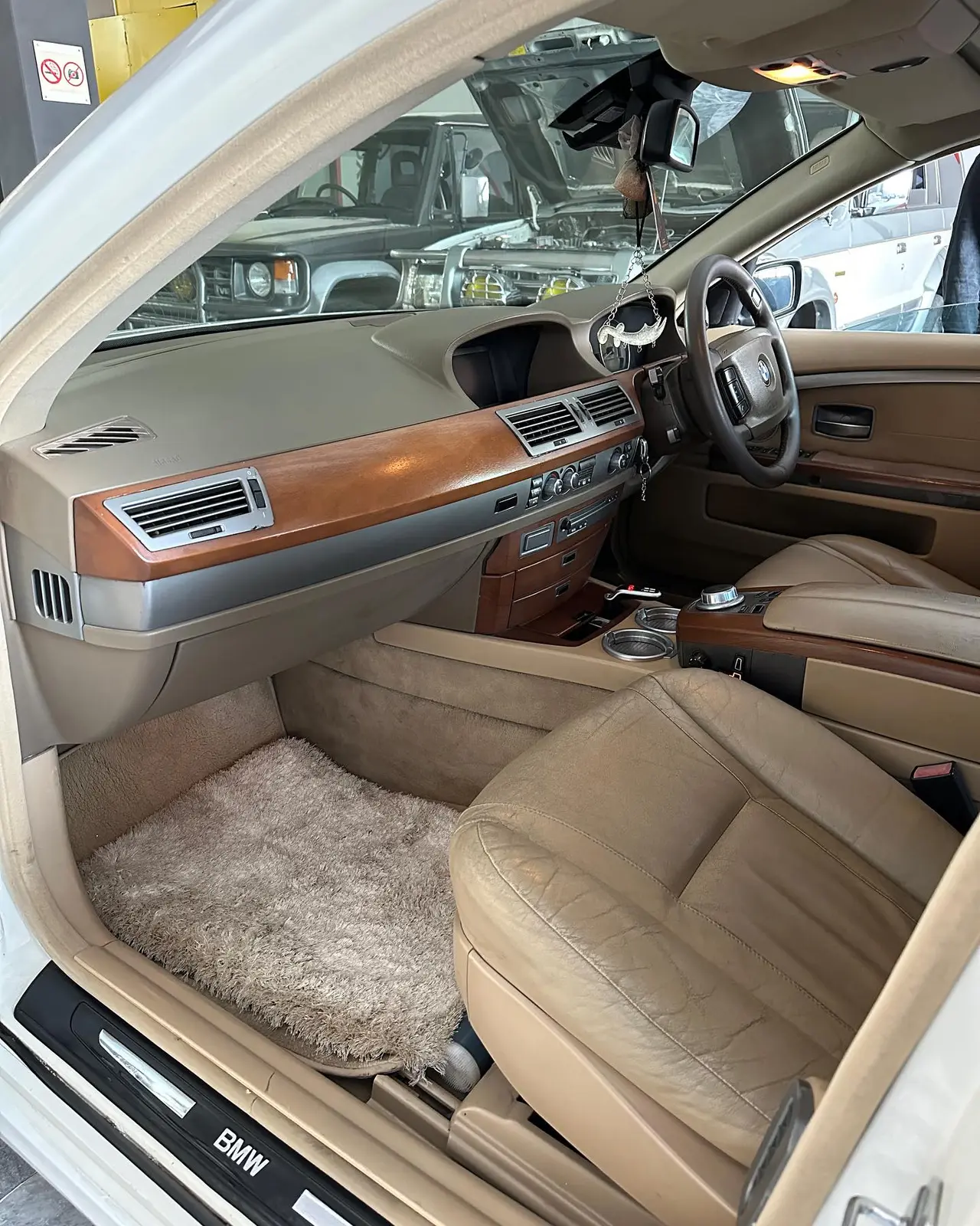 BMW Car Inspection