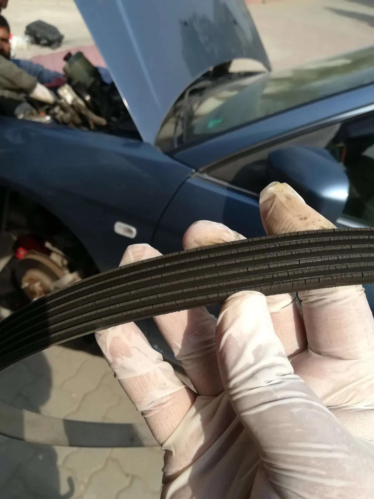 Timing Belt