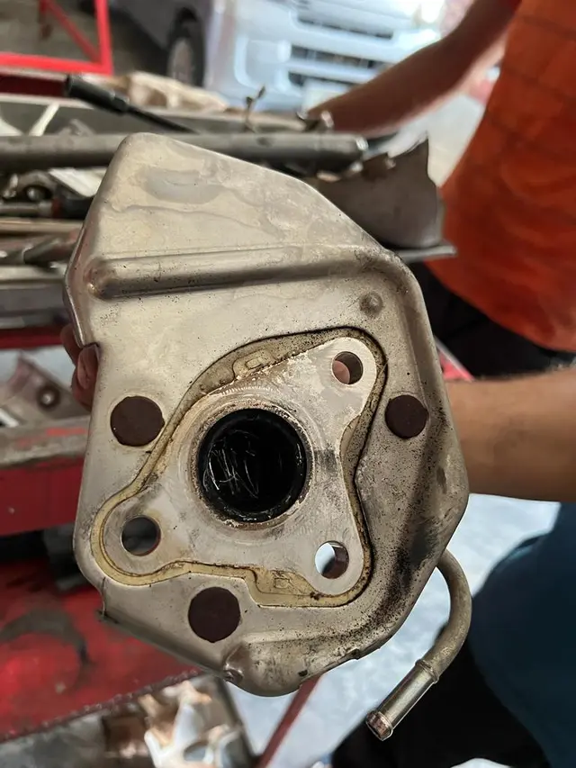 Exhaust Gas Recirculation